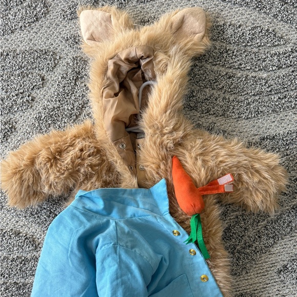 Pottery Barn 0-6 month Peter Rabbit Costume - Picture 2 of 3